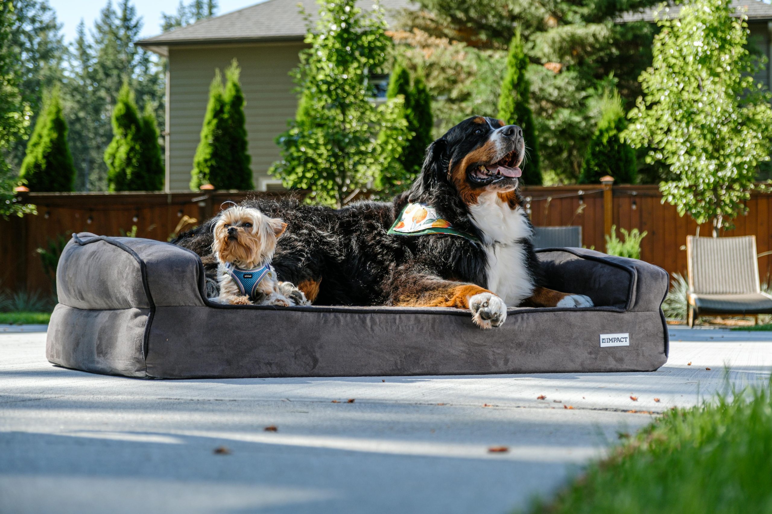 Dog Poop Disposal System
