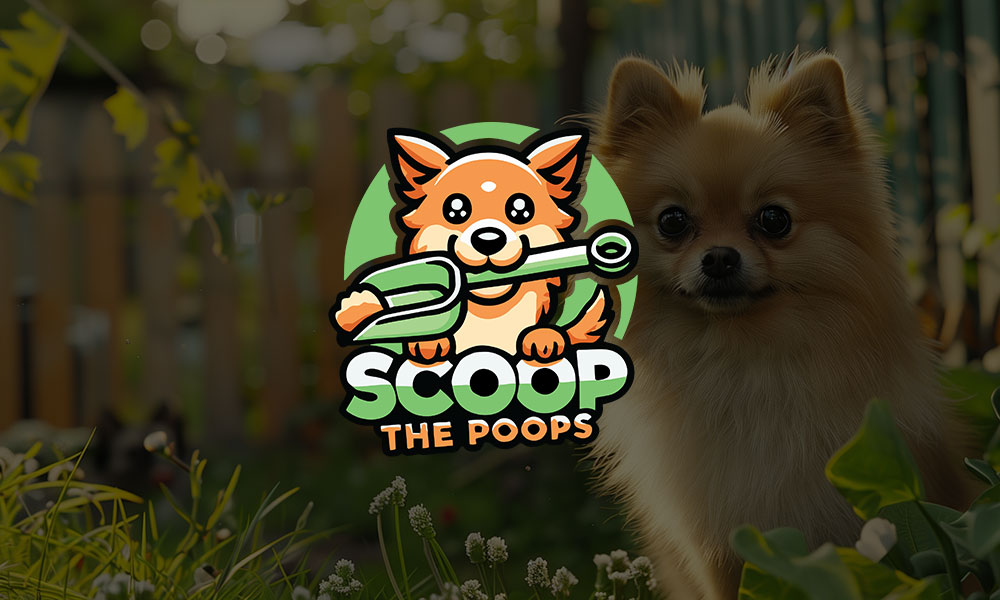 Scooper Near Me