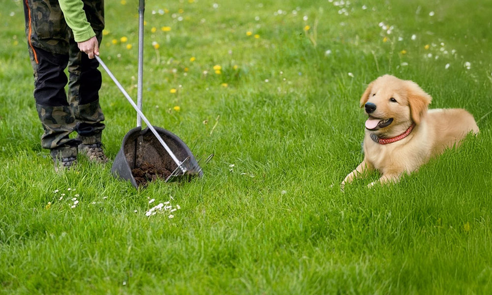 Poop Picker Upper